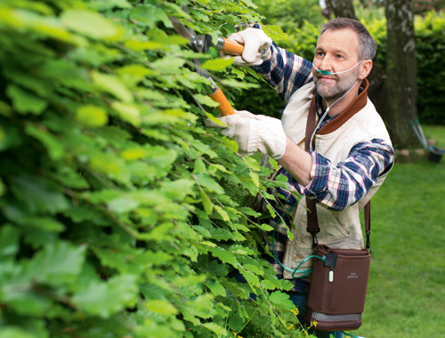ein Mann, der einen Busch schneidet