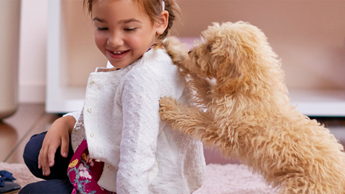 Wie Sie Ihren Teppich reinigen ⎯ der ultimative Ratgeber