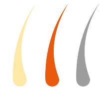 IPL zielt auf das Melanin