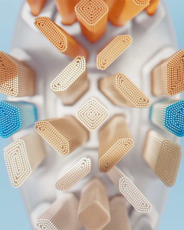 One B&uuml;rstenkopf f&uuml;r umfassende Pflege