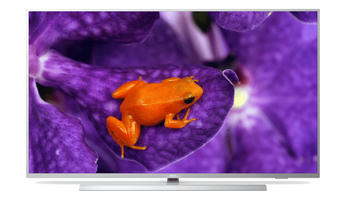 Professional TV&nbsp;&ndash; Android-Software