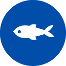 Symbol f&uuml;r Fisch