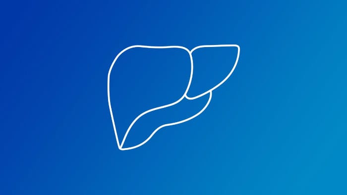 Video, in dem die Leber-Ultraschallger&auml;te von Philips erl&auml;utert werden