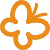 Icon Transform New image