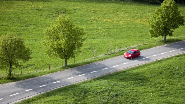 Straße, Wald